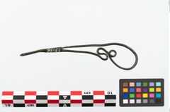 Foto von Bronzeschlangenfibel (NHMW-PRAE-025156)